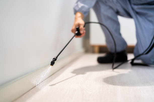 Certified termite inspector examining foundation in Cumberland